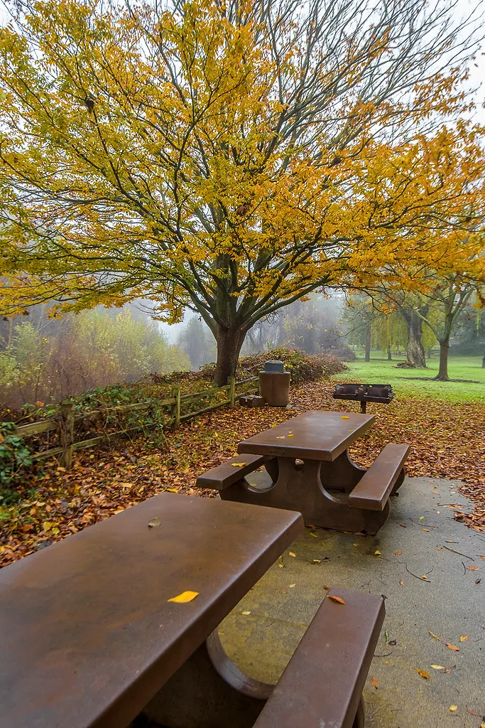 Colusa-Sacramento River State Recreation Campground