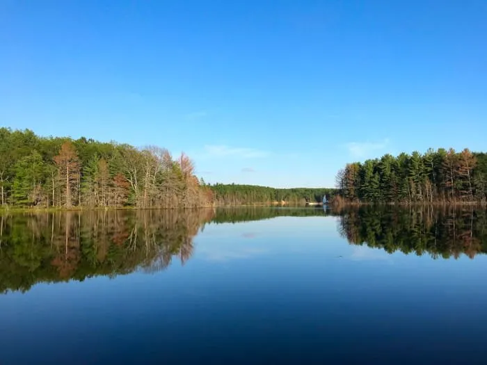 Shoepac Lake State Forest Campground