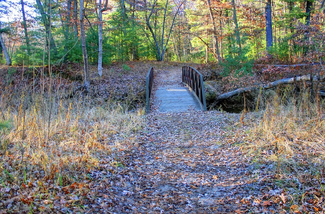 Roche-A-Cri State Park