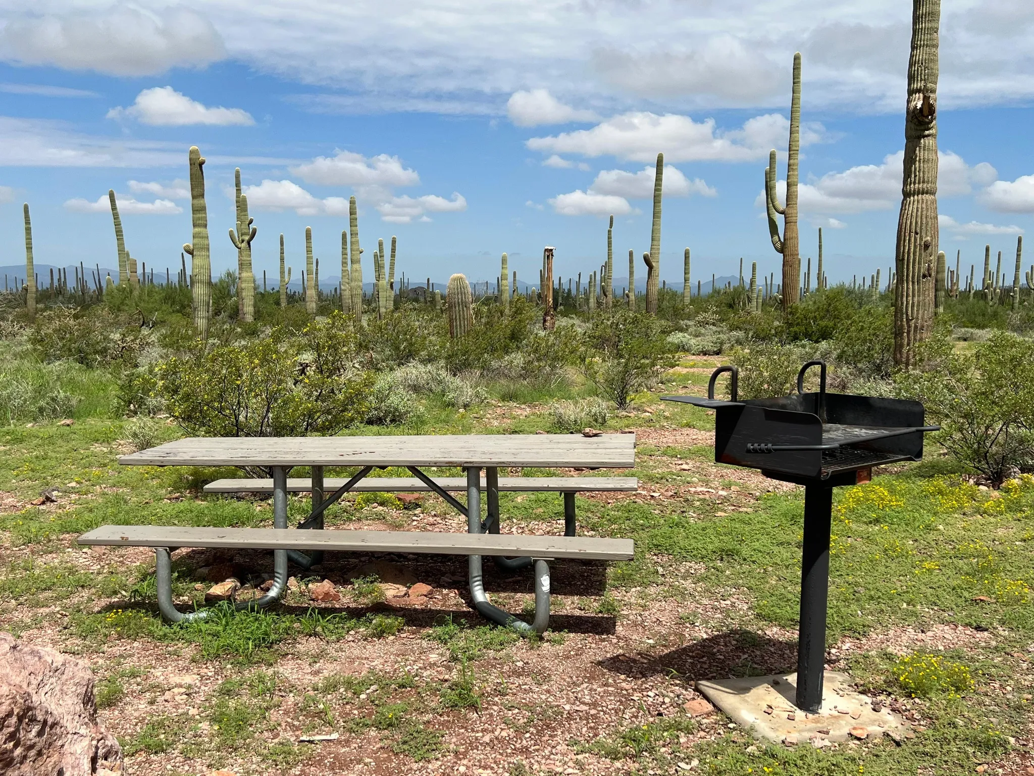 Alamo Canyon Primitive Campground 