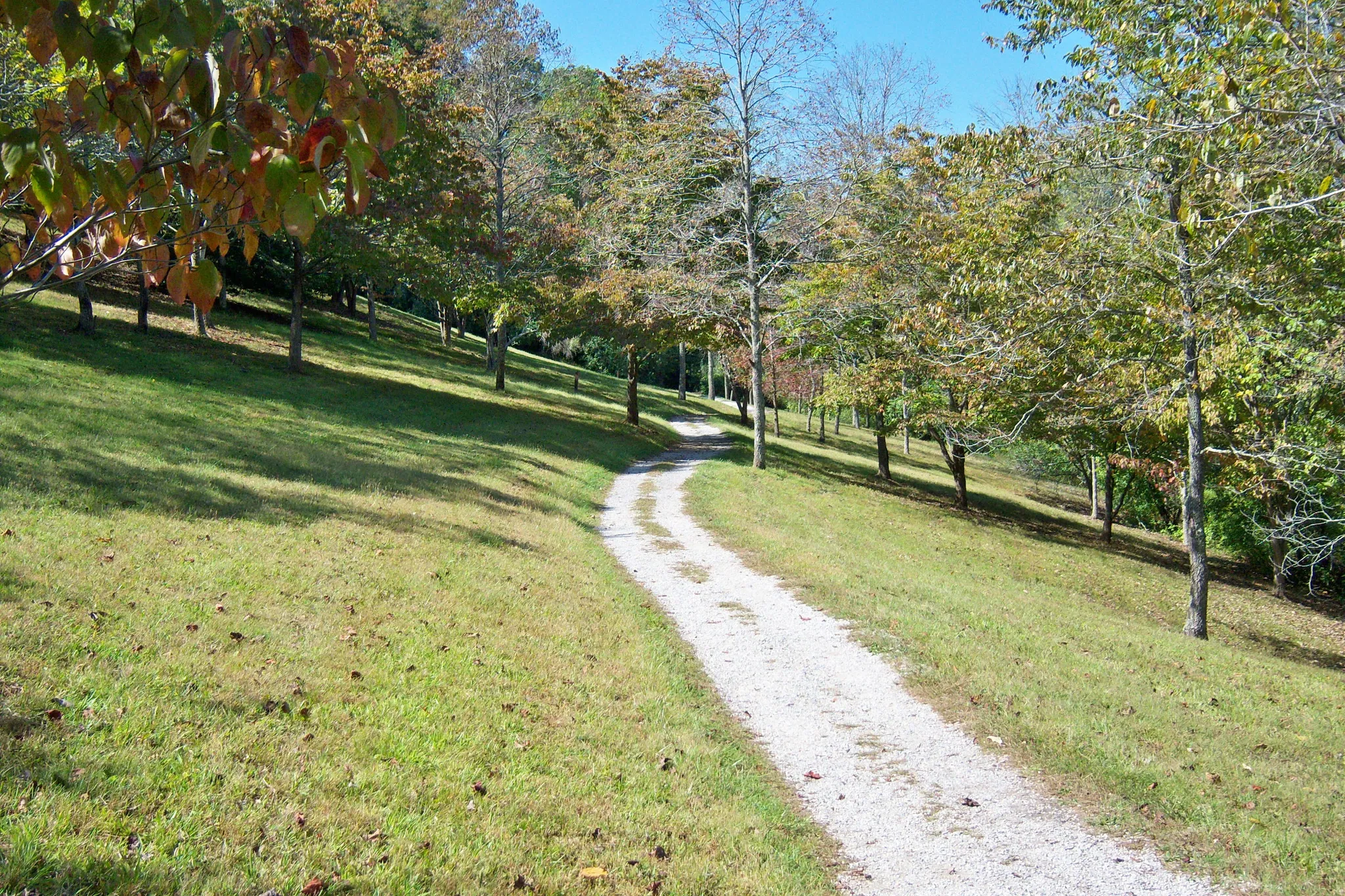 Paintsville Lake State Park