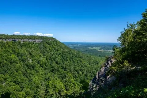 Thompsons Lake Campground At Thacher State Park
