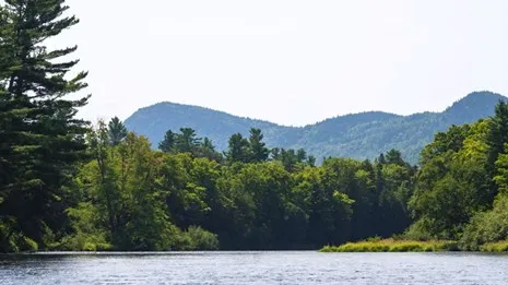 Sandbank Stream