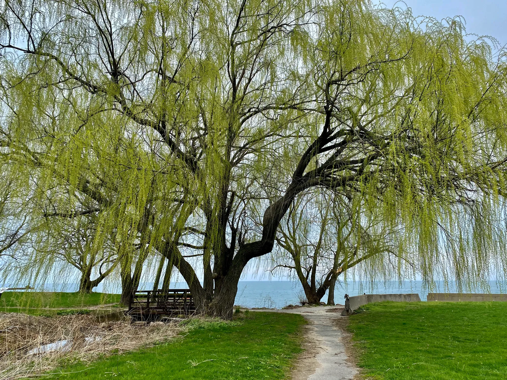 Hamlin Beach State Park