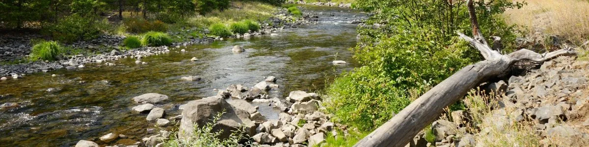 Flat Campground