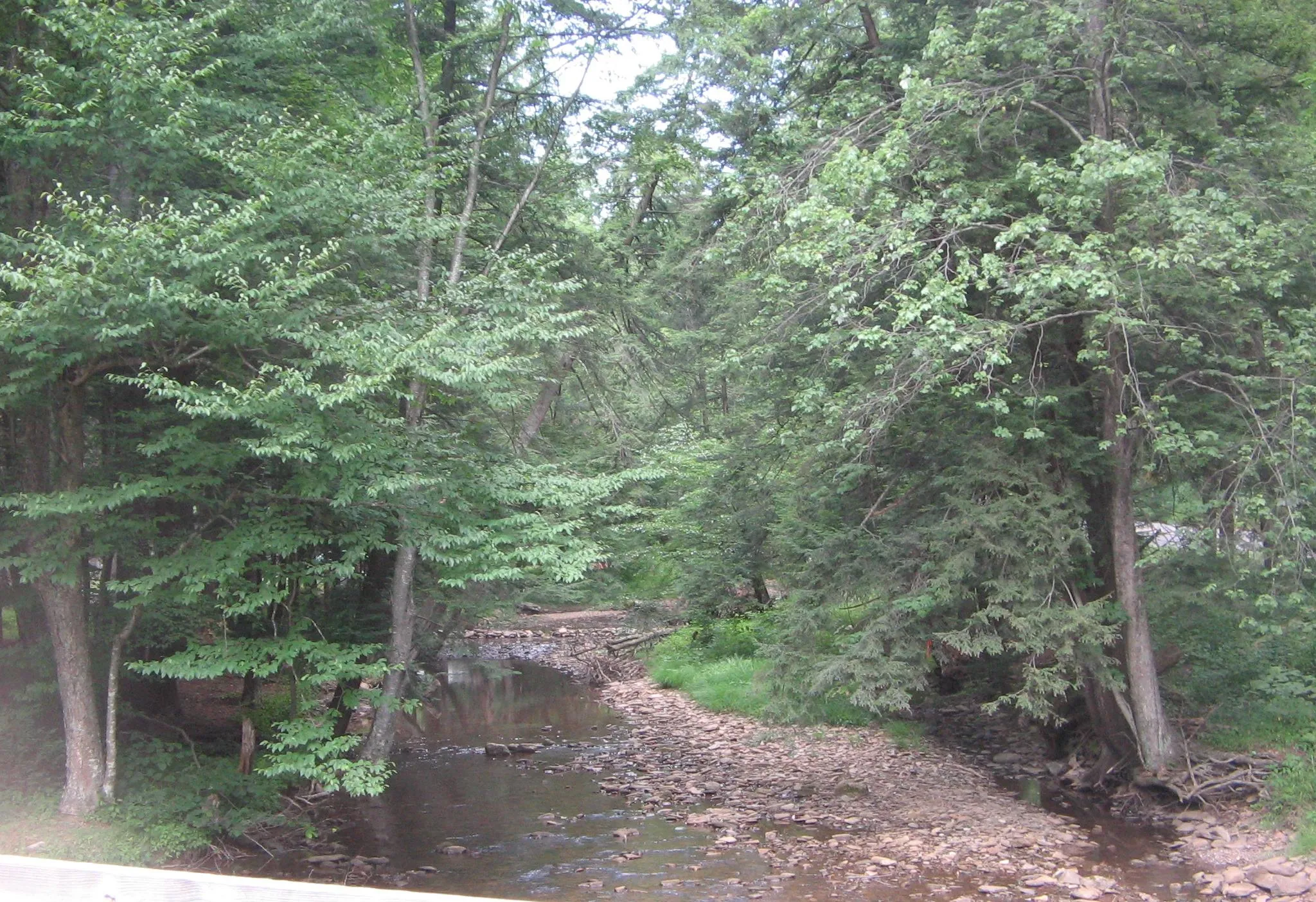 Hyner Run State Park