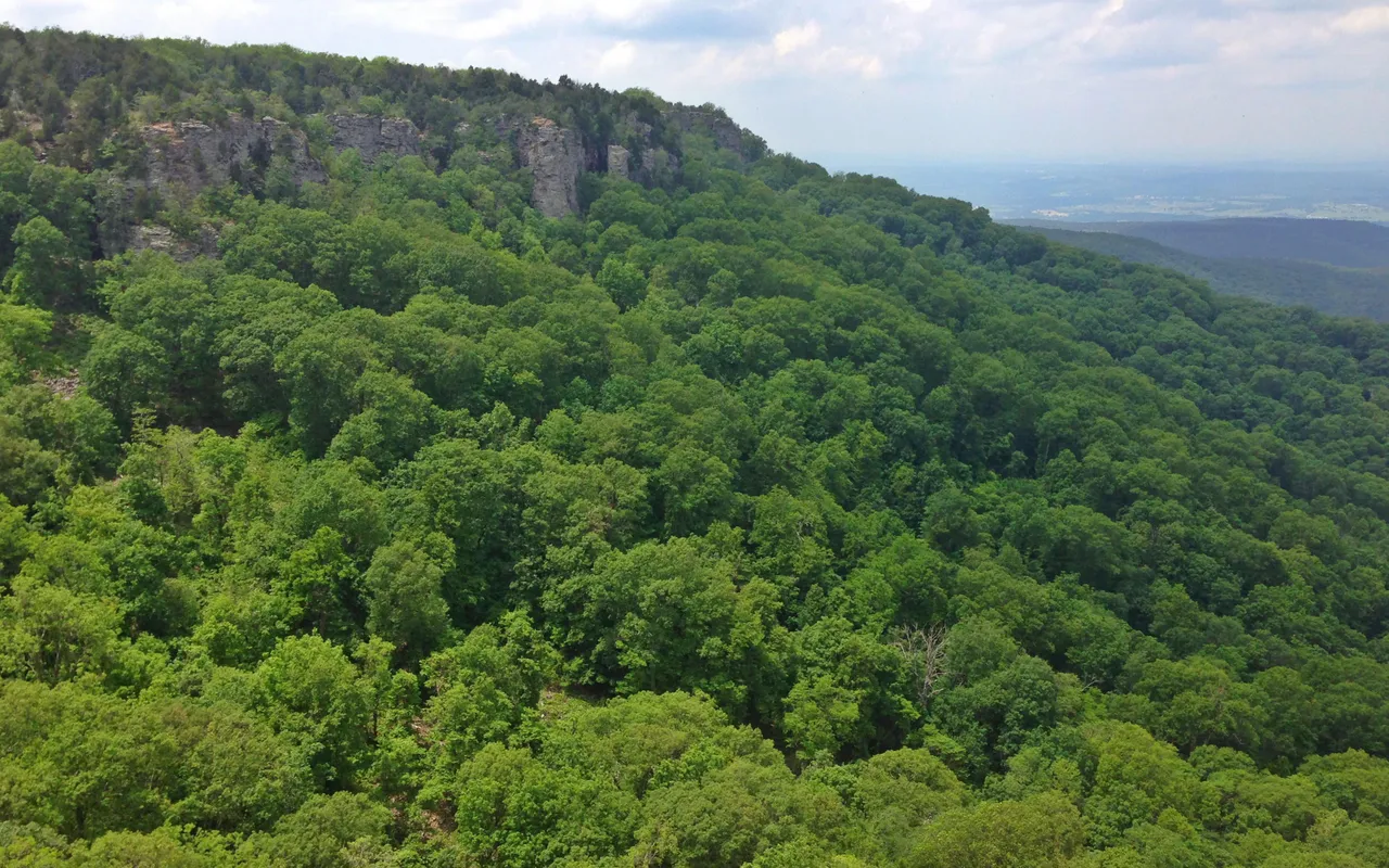 Mount Magazine Campground