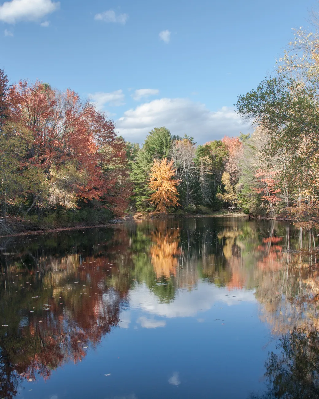 Bradbury Mountain Campground