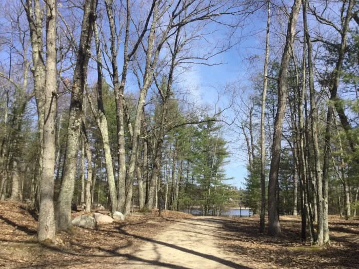 Leverentz Lake State Forest Campground