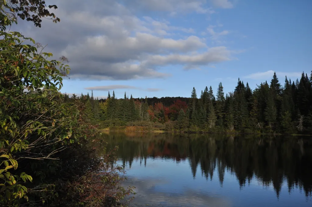 Mollidgewock State Park