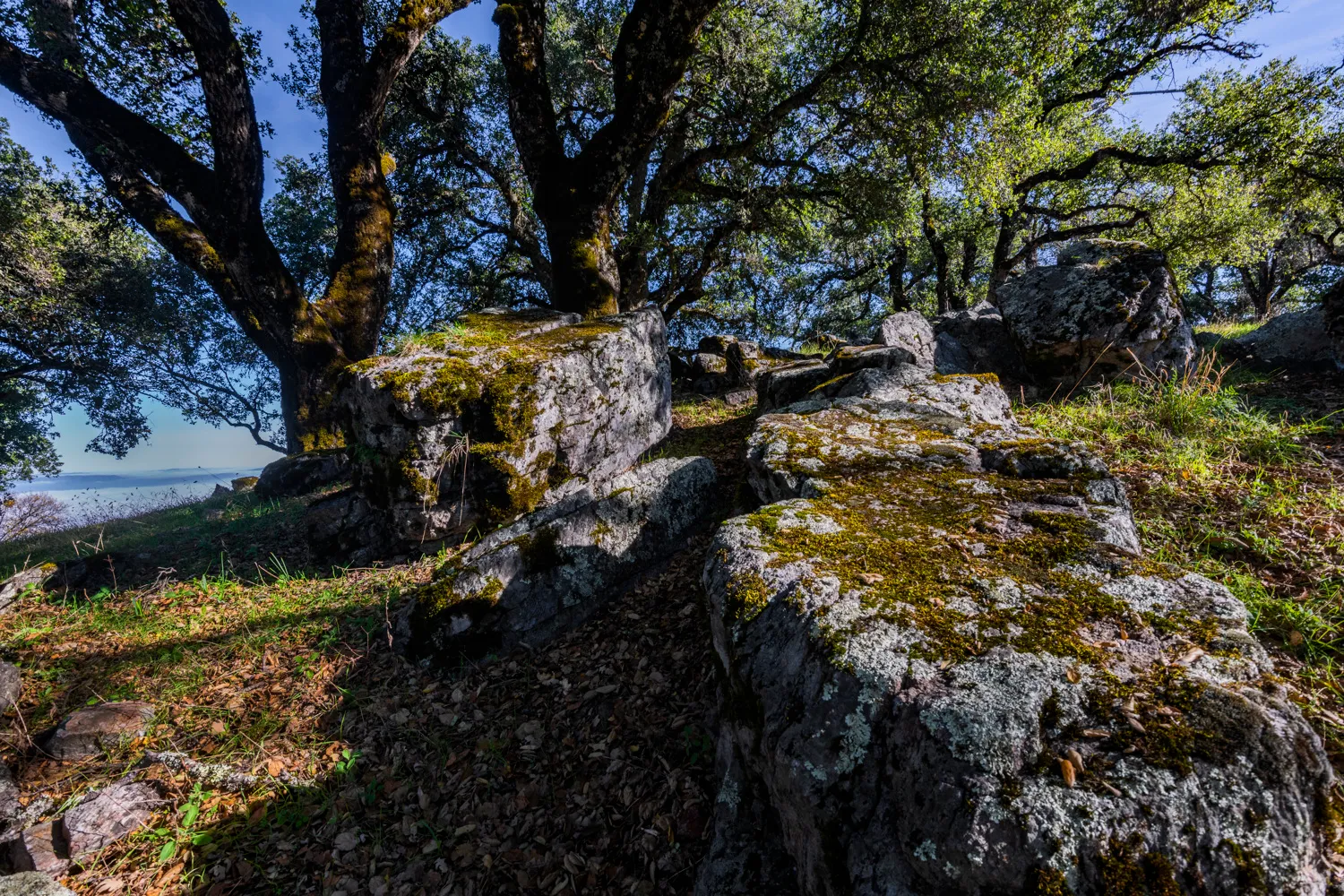Oak Point Campground