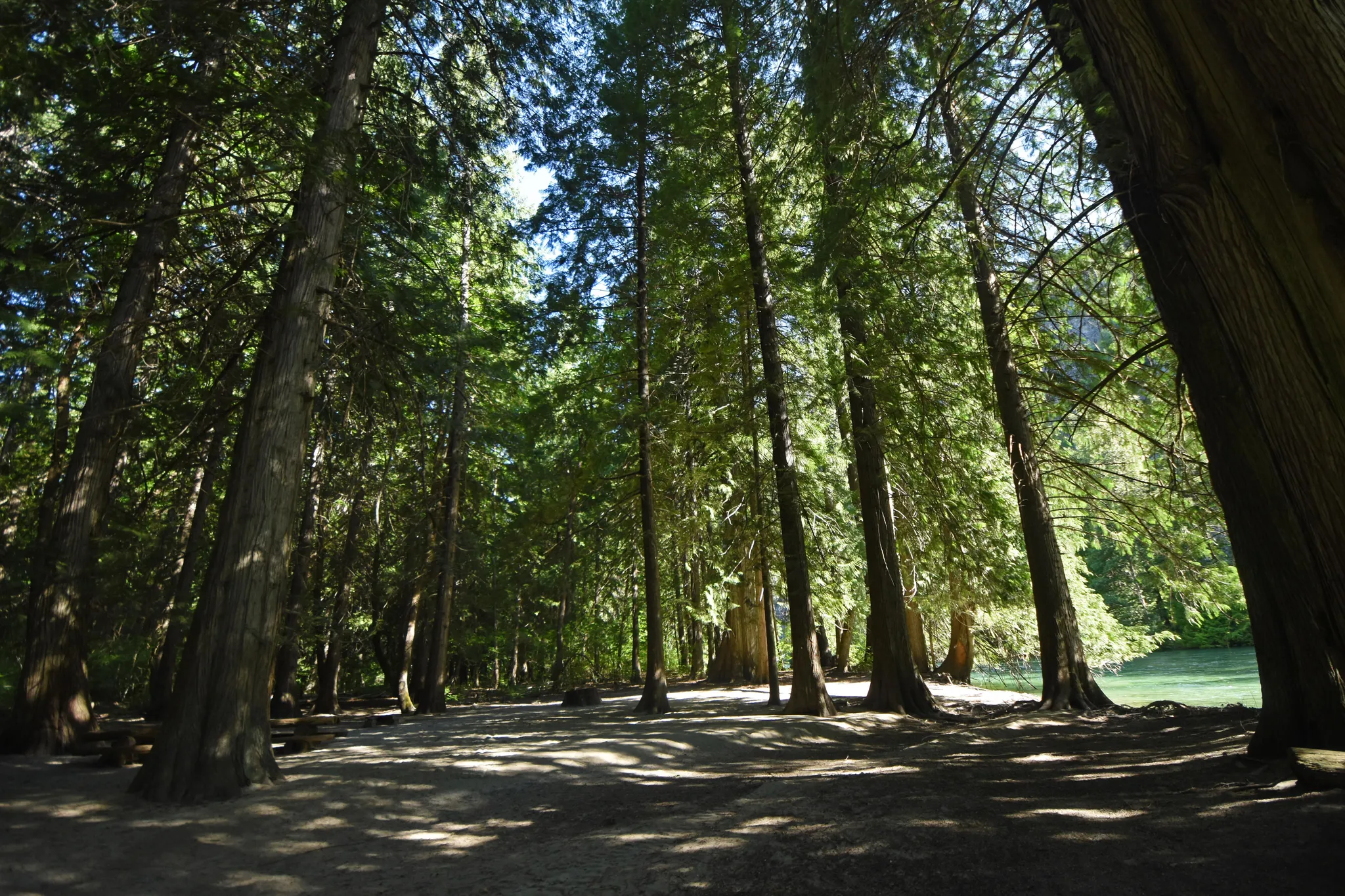 Harlequin Campground