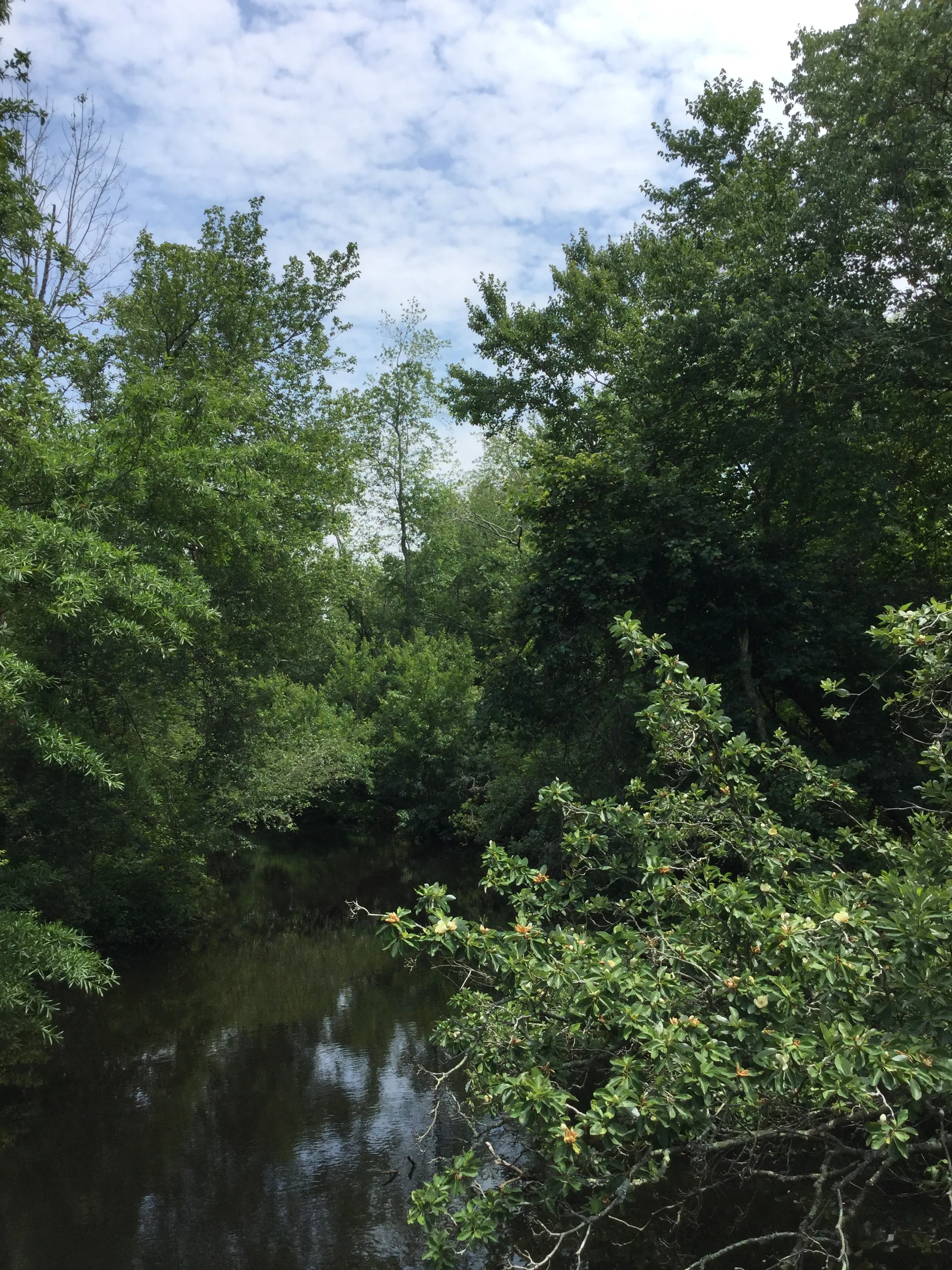 Parvin Campground