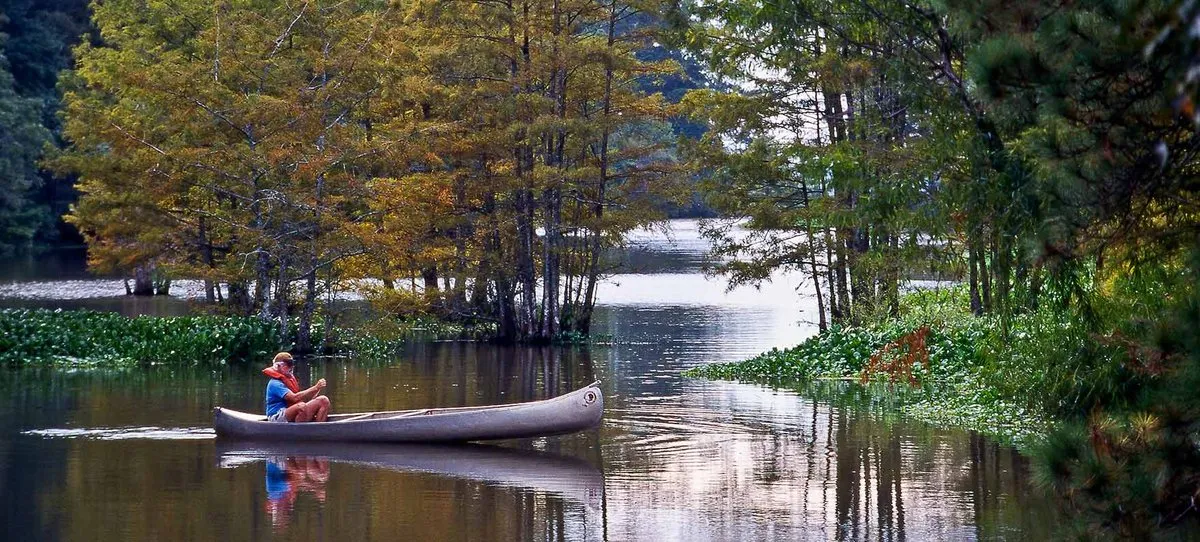 Martin Dies Jr. State Park