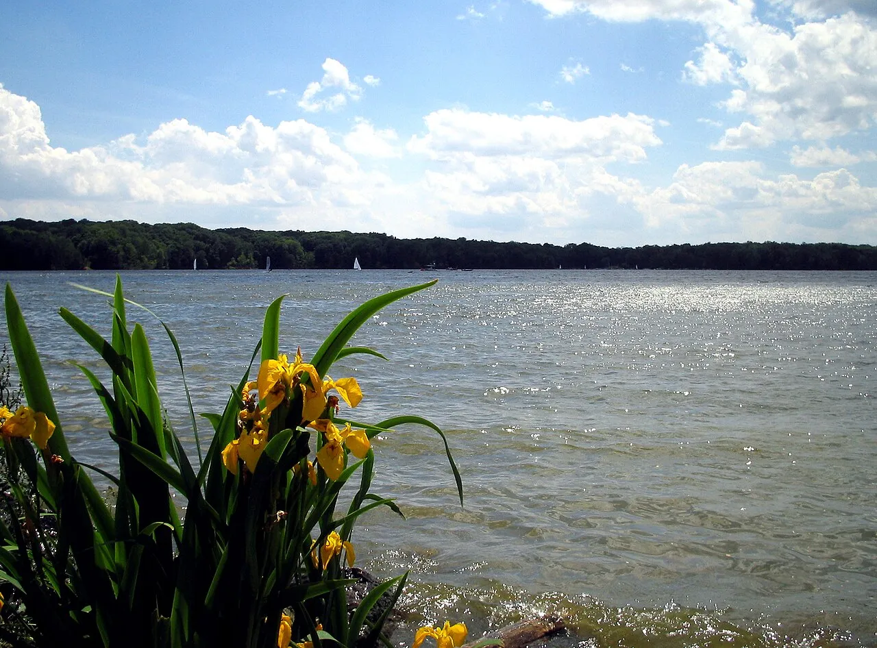 Cowan Lake Camp Sites 1-60