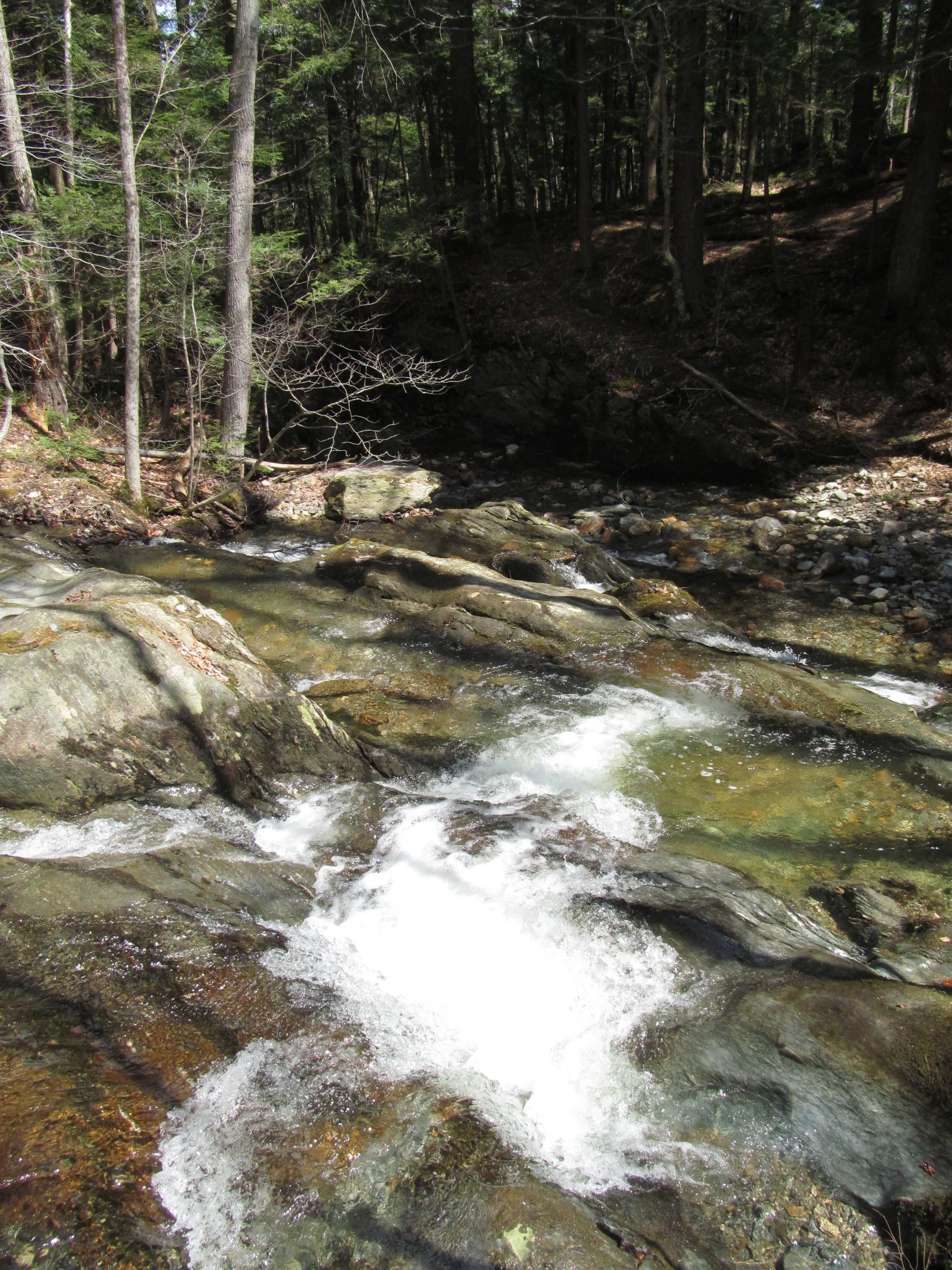 Savoy Mountain State Forest