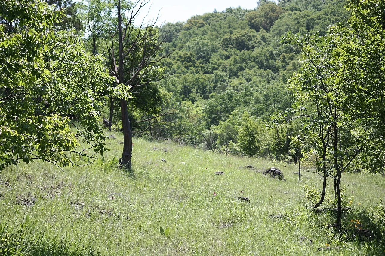 Campground (Sites 64-110)
