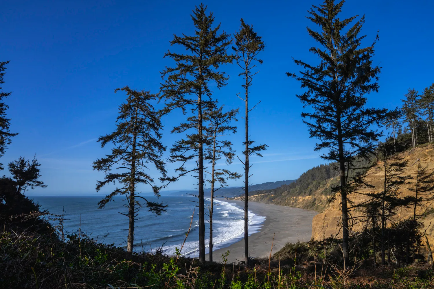 Abalone Campground
