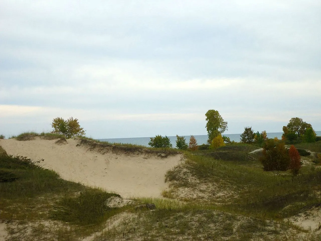 Kohler-Andrae State Park
