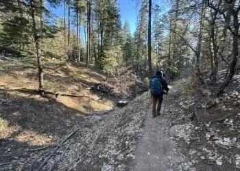 Upper Fir Group Campground