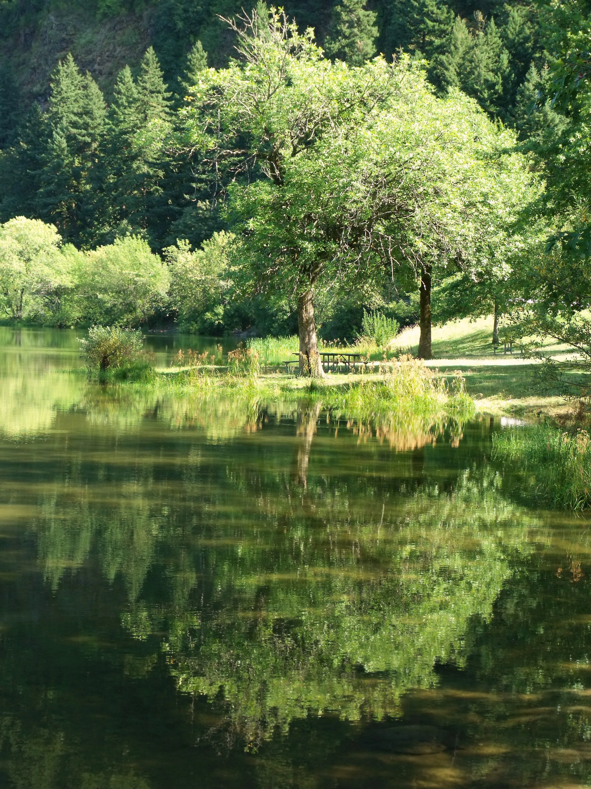 Benson State Recreation Area