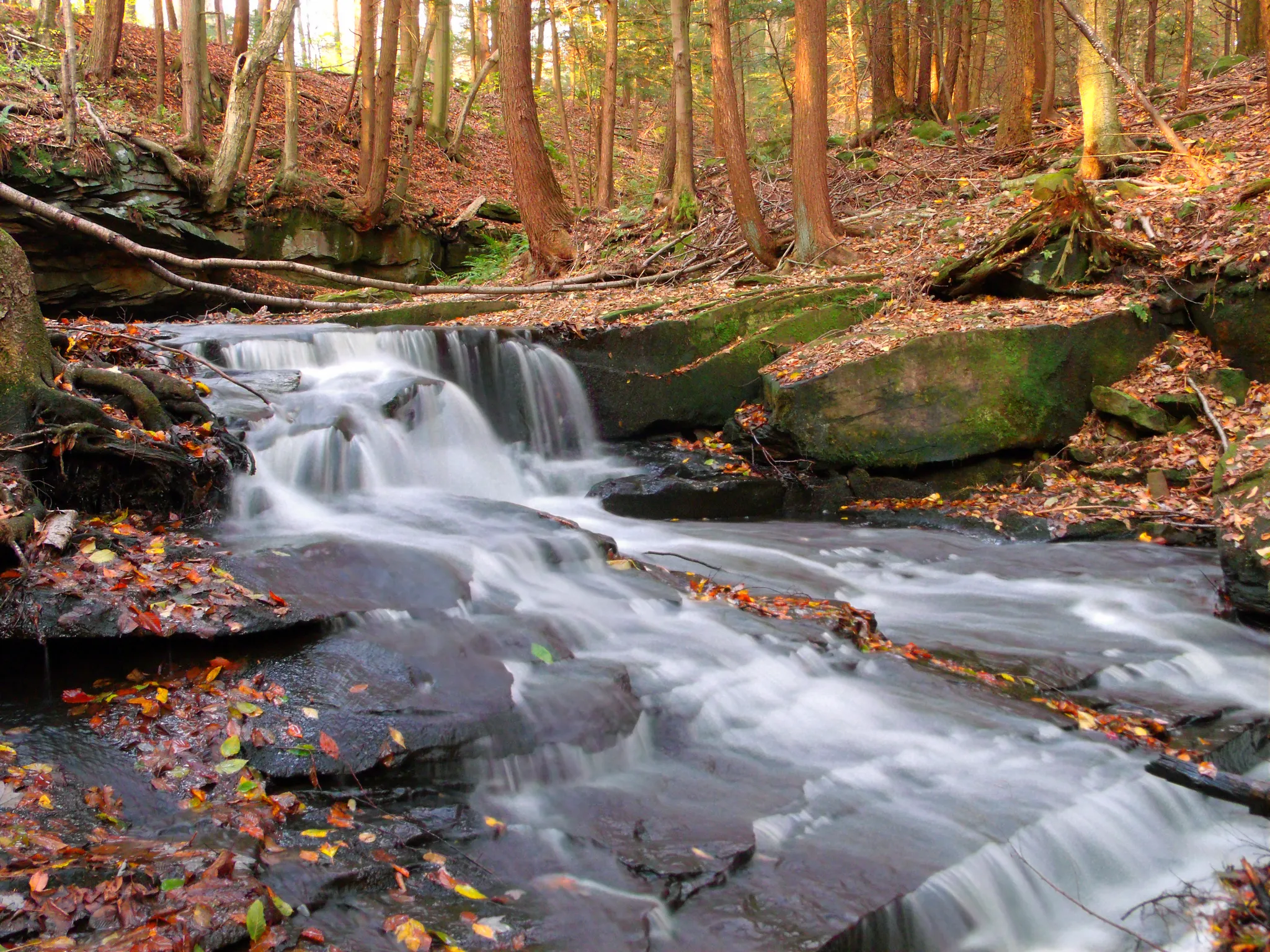 Maurice K Goddard State Park