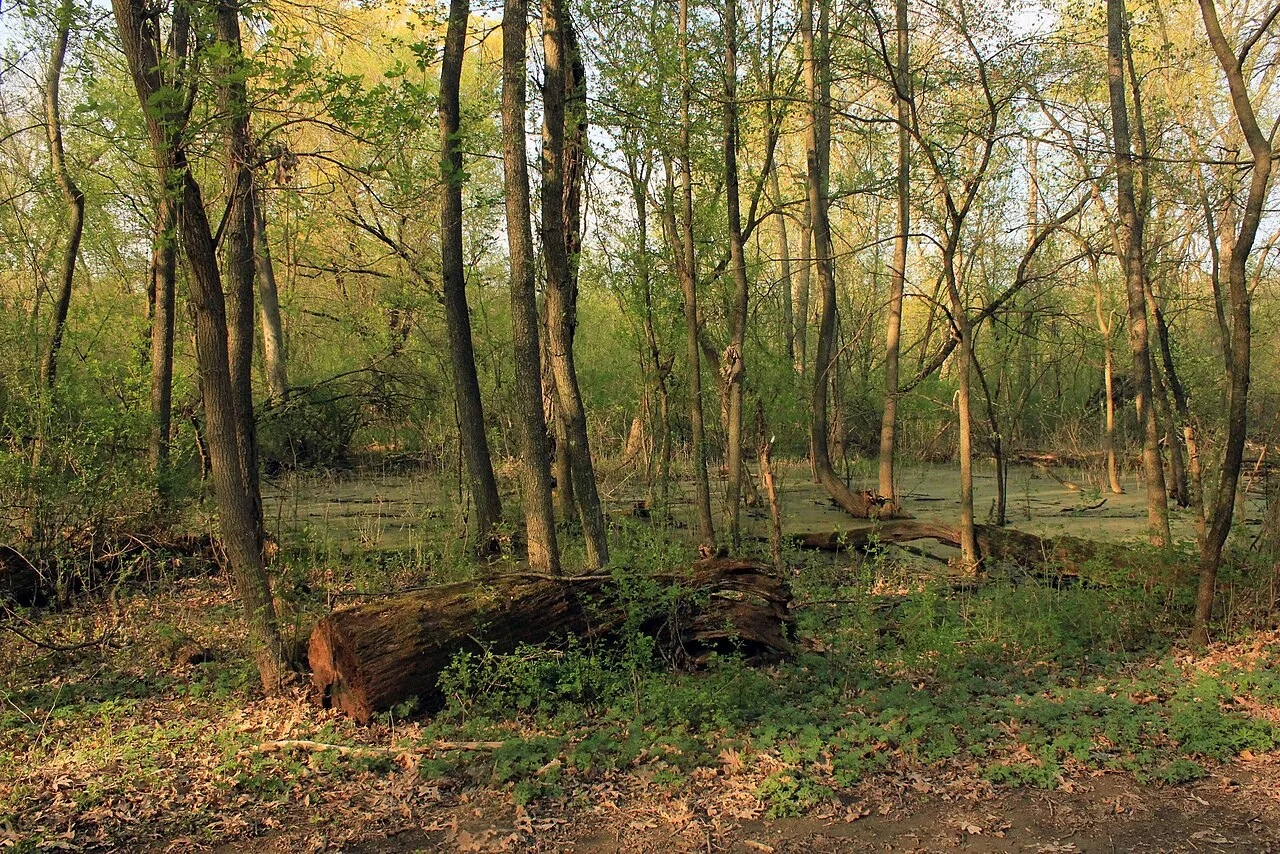 Big Foot Beach State Park