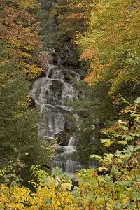 Vogel State Park
