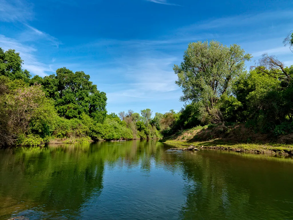 Caswell Memorial State Park Campground