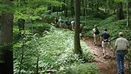 Mt. Greylock State Reservation