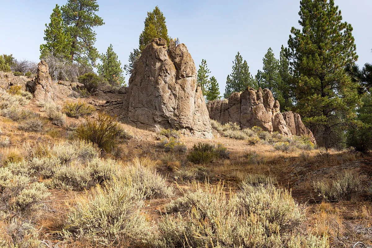 Dairy Point Campground