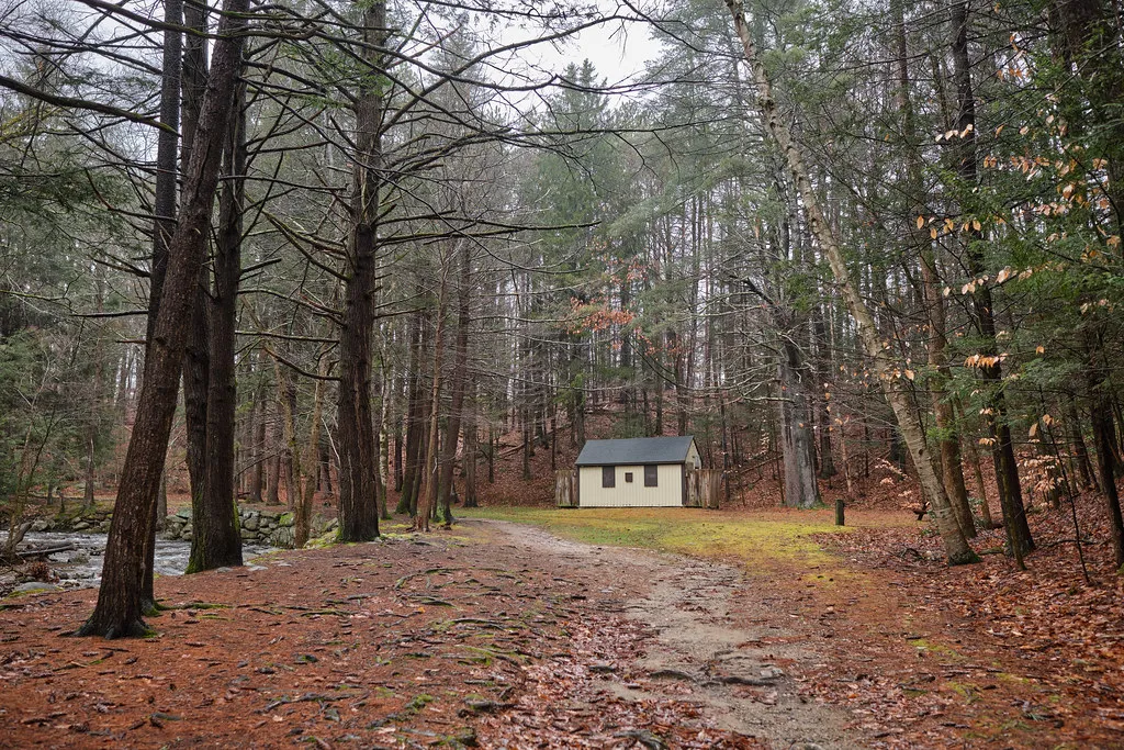 Willard Brook State Forest