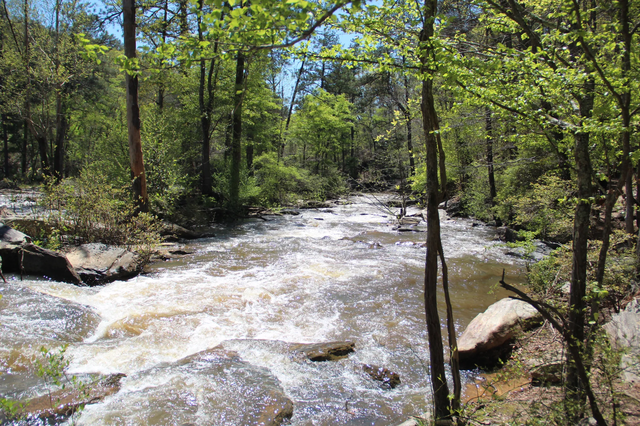 Sweetwater Creek State Park