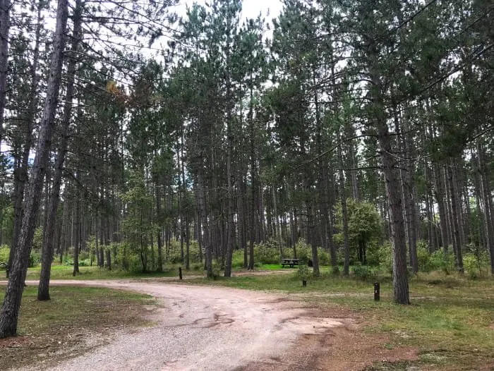 Parmalee Bridge State Forest Campground And Canoe Camp