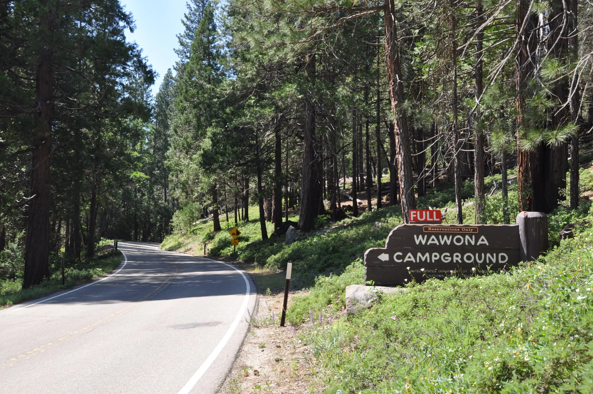 Wawona Horse Campsites