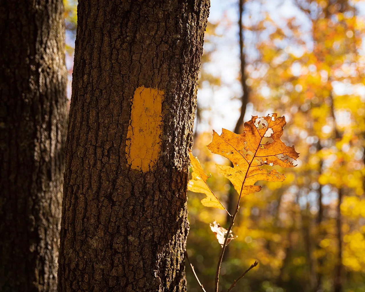 Gambrill State Park