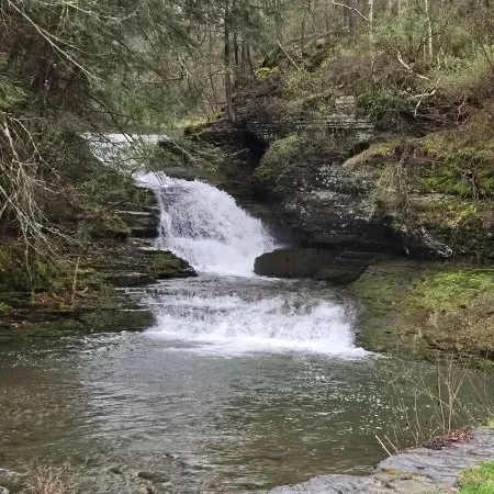 Robert H Treman State Park