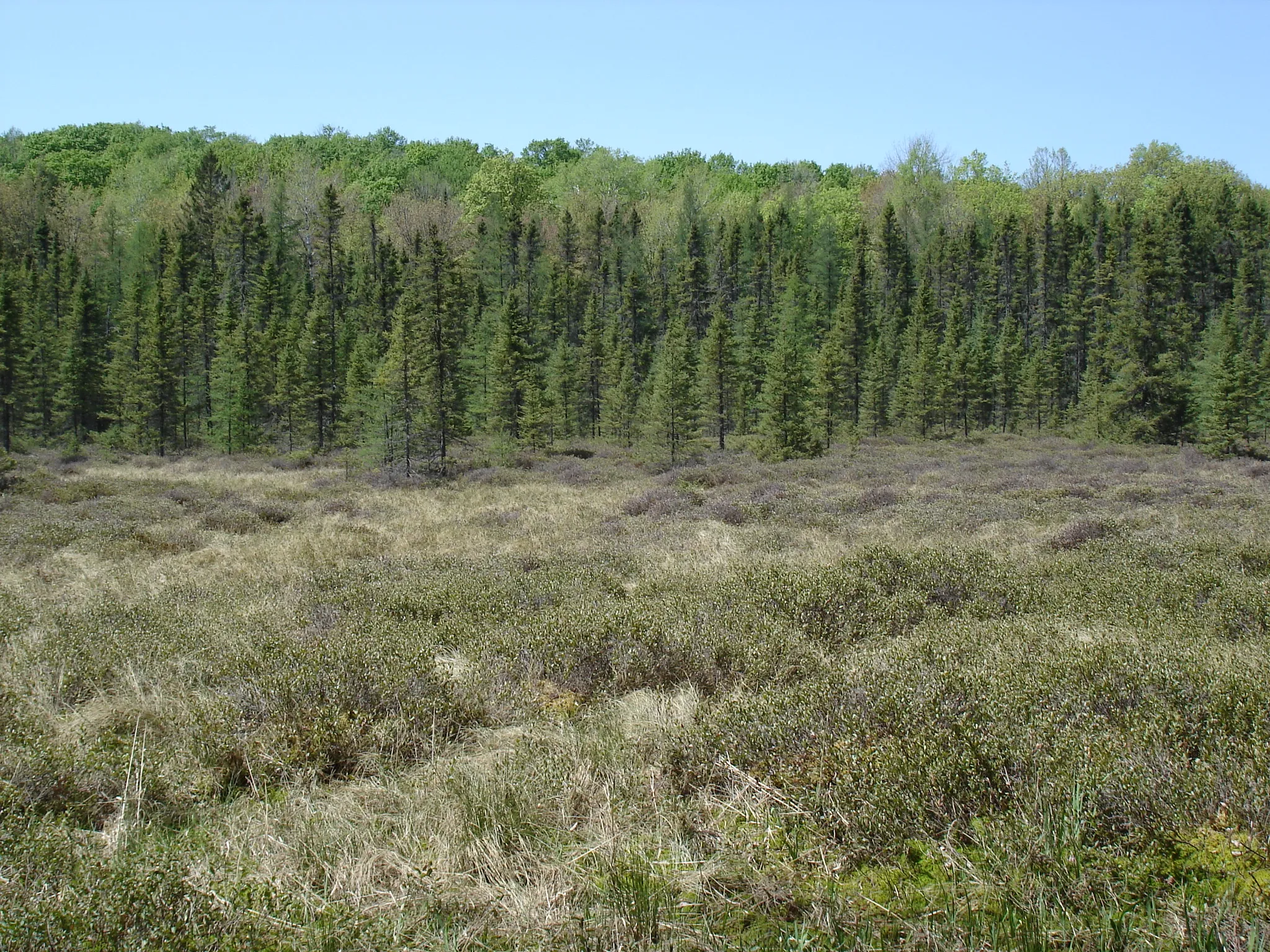 Burned Dam Campground