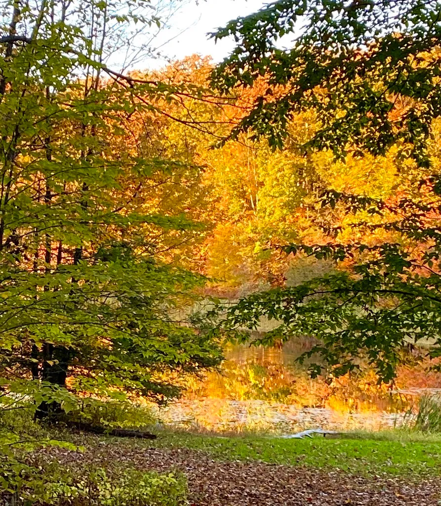 Wawayanda Campground