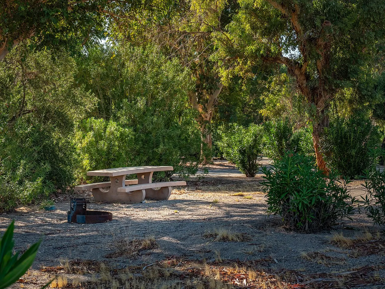 Cottonwood Cove Rv Park