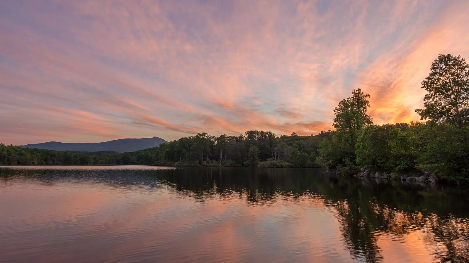 Julian Price Campground