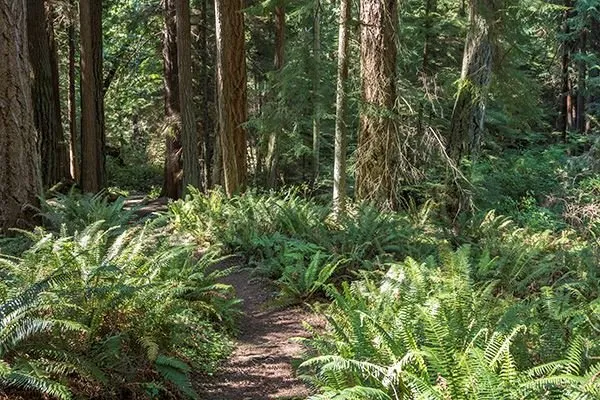 South Whidbey State Park