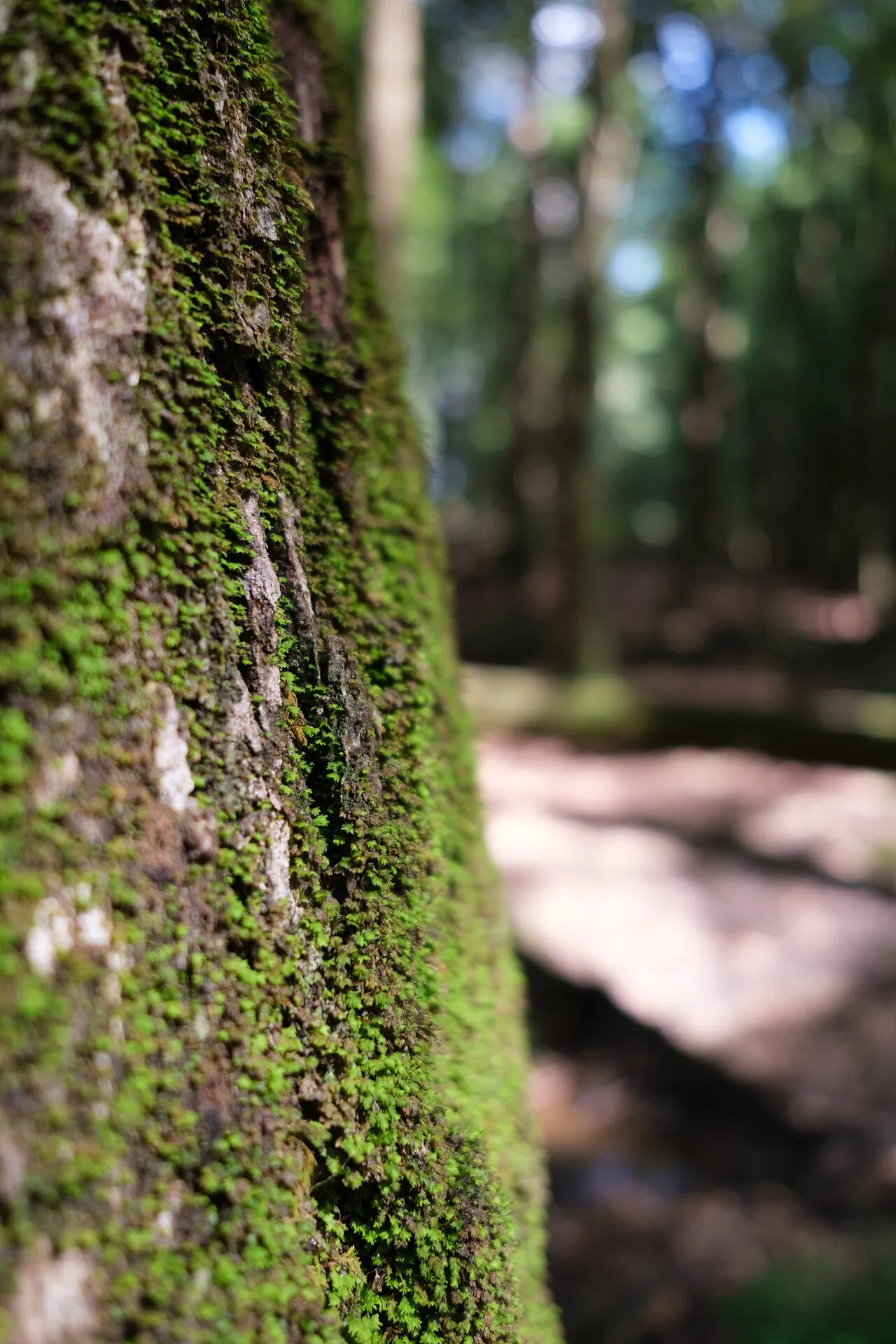 Hocking Hills Youth Group Campground