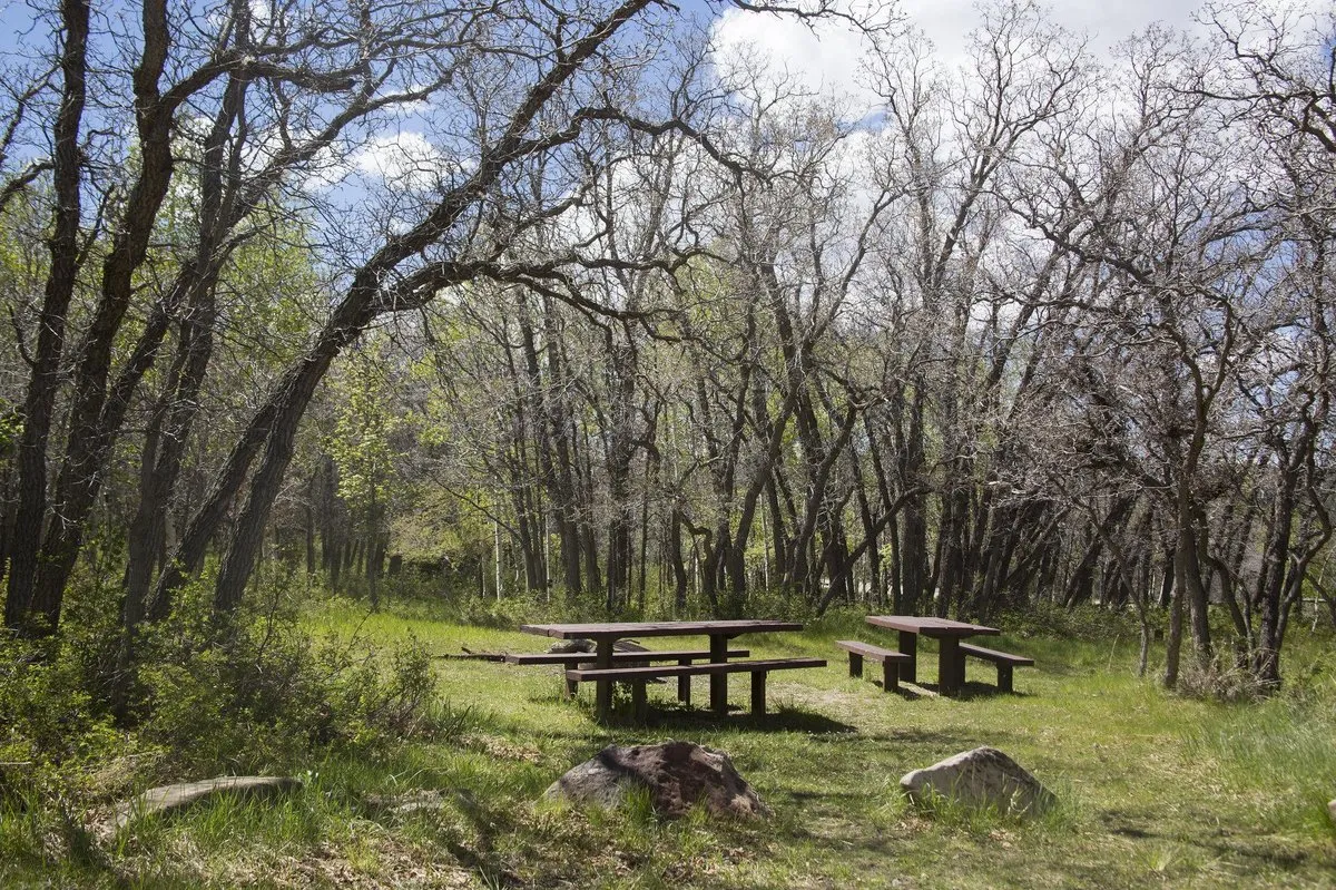 Badger Creek Campground