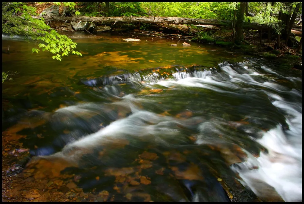Ricketts Glen State Park