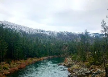 South Fork Camping And Day Use Area