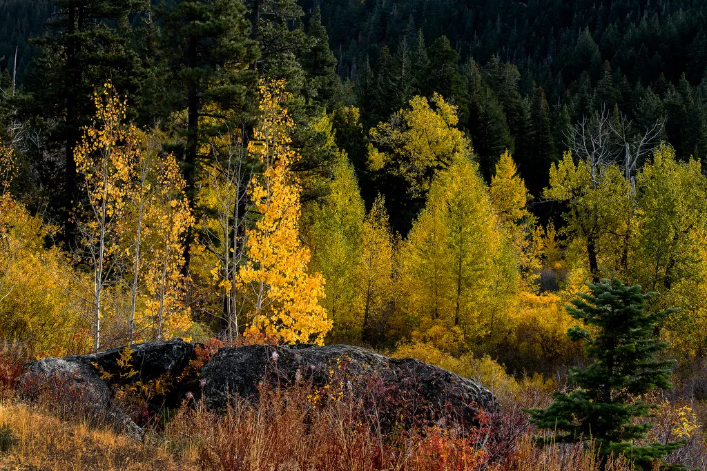 Jamison Creek Campground
