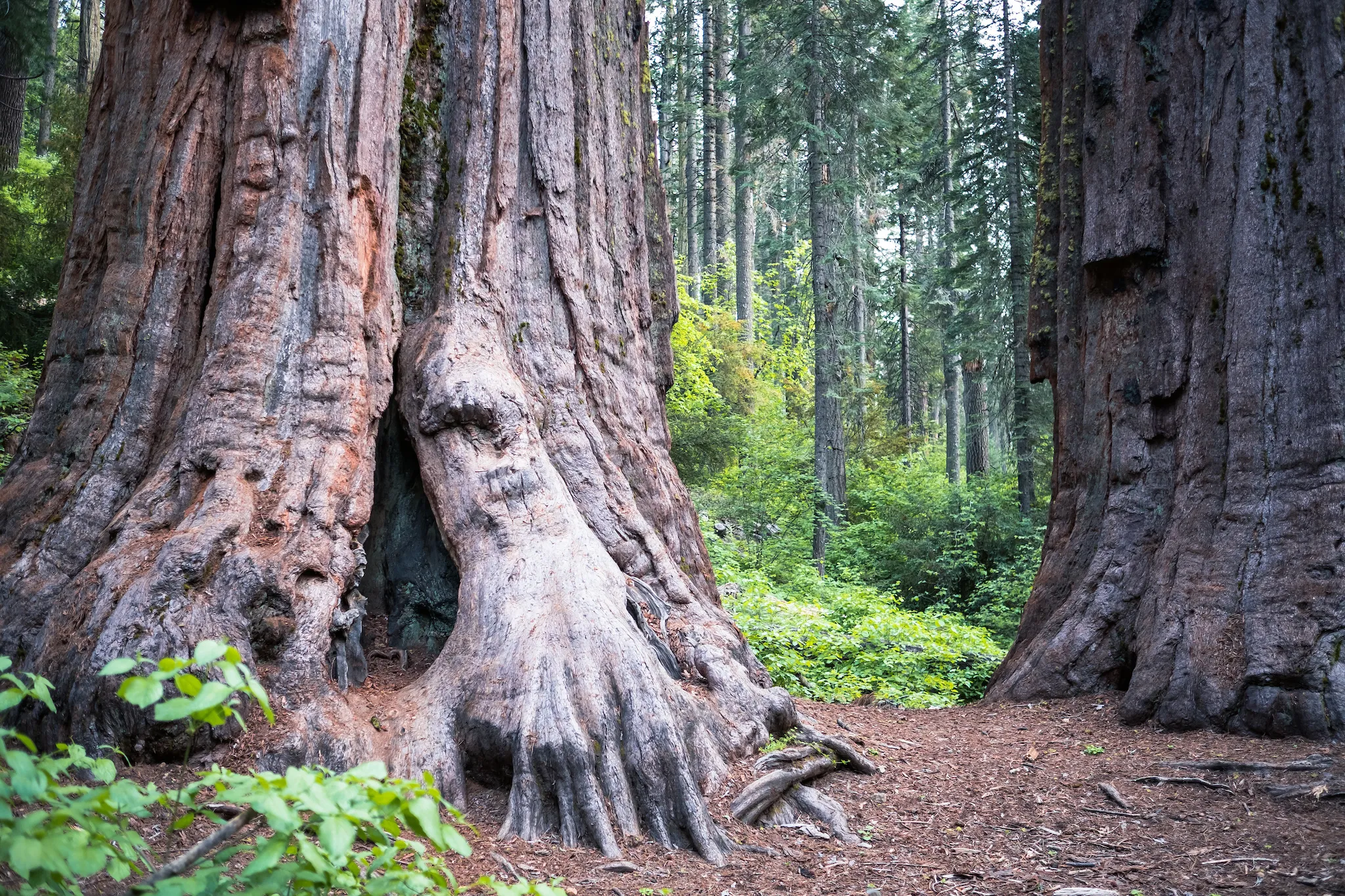 North Grove Campground