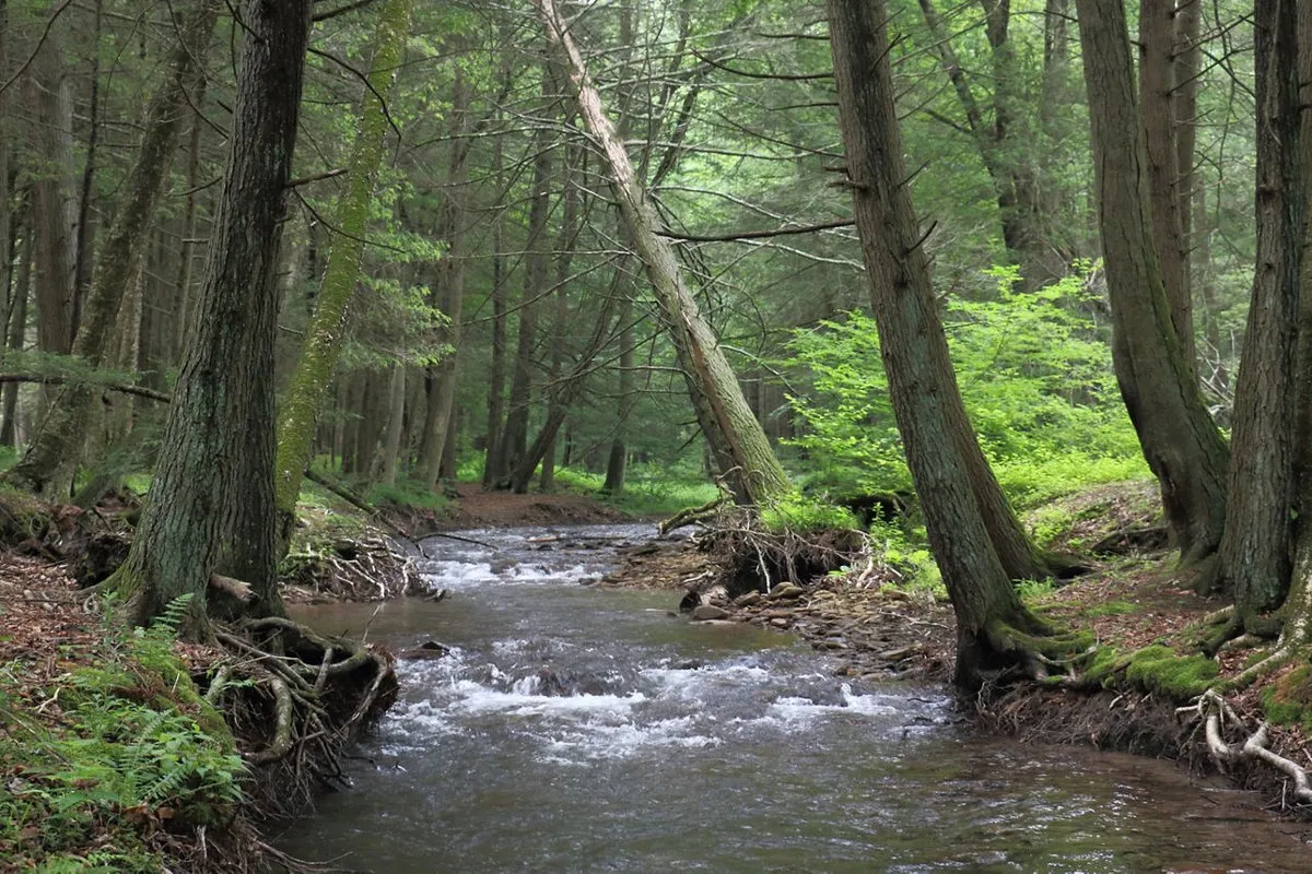 Hyner Run State Park
