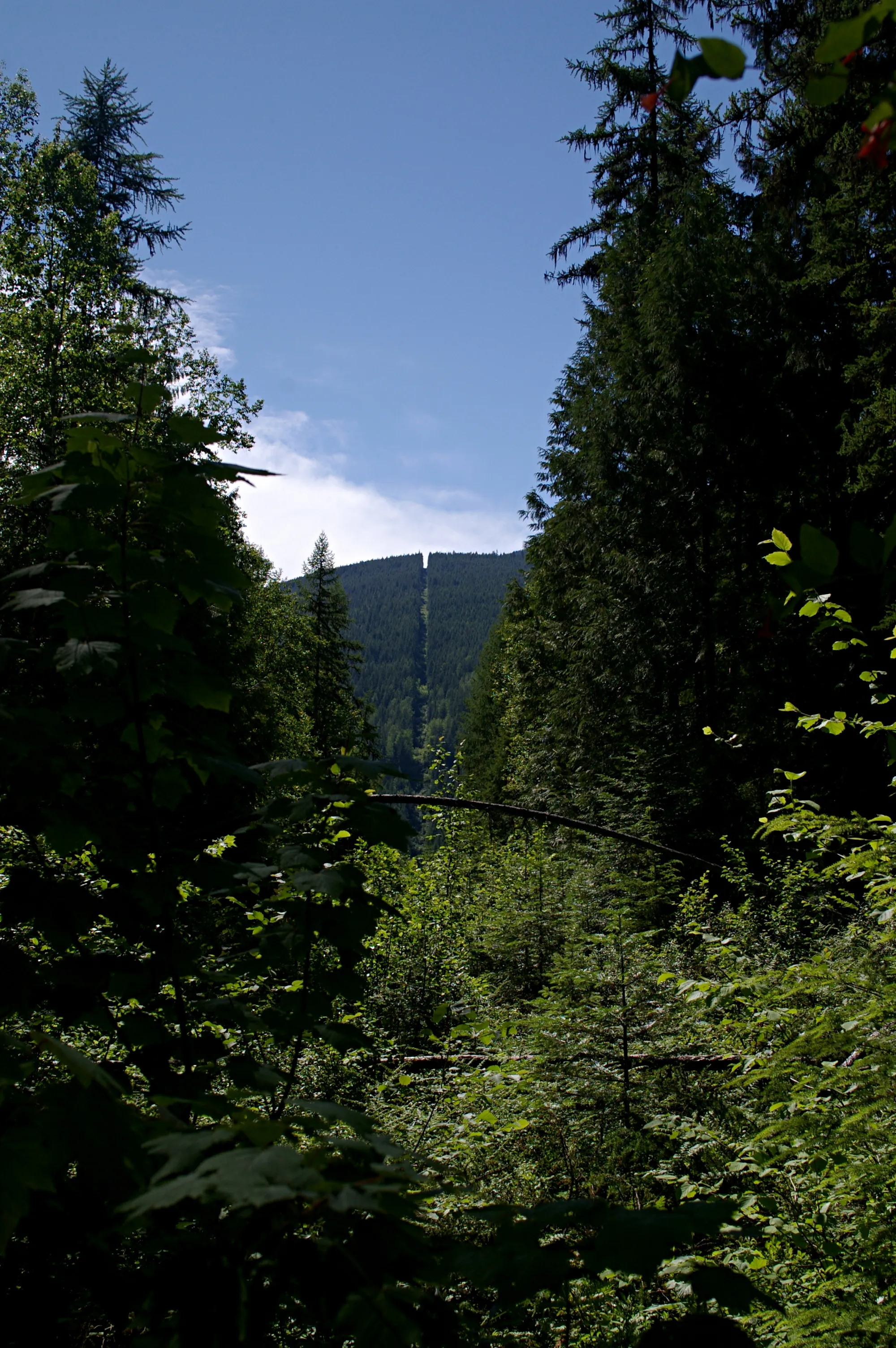 Crawford Campground